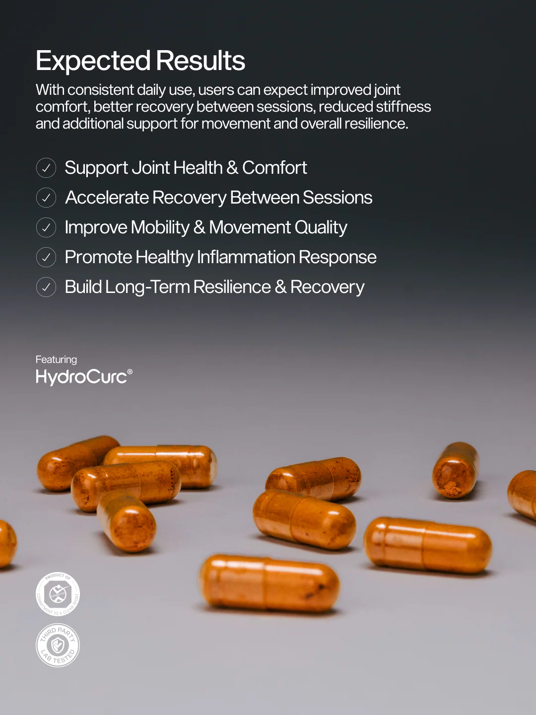 Curcumin+ - Image 3